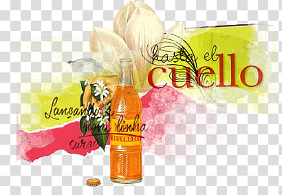 Mixed, orange bottle and white flower transparent background PNG clipart