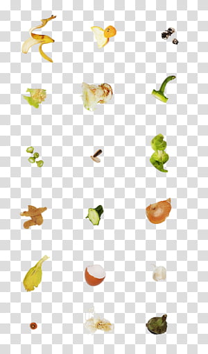 Plant Leaf, Petal, Meter transparent background PNG clipart thumbnail