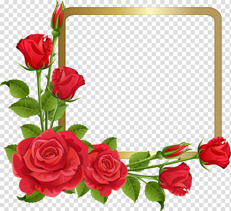Pink Flowers, BORDERS AND FRAMES, Rose, Floral Design, Garden Roses, Tulip, Flower Bouquet, Rose Family transparent background PNG clipart