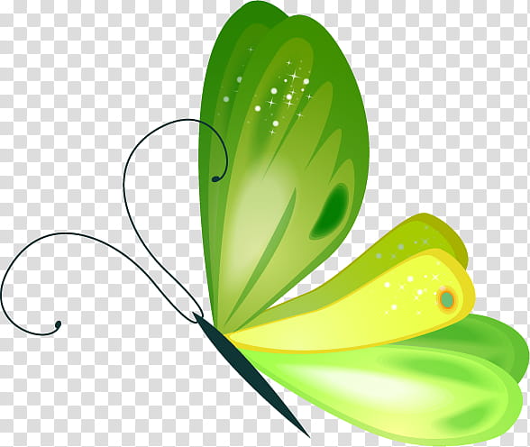 Green Leaf, Butterfly, Cartoon, Animation, Lepidoptera, Plant, Flower transparent background PNG clipart