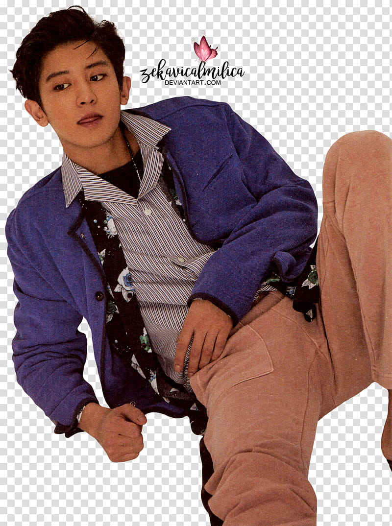 EXO Chanyeol  Season Greetings, BTS RM transparent background PNG clipart