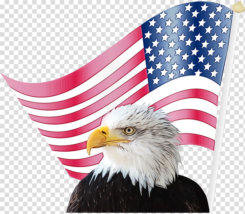 Veterans Day Usa Flag, Fourth Of July, 4th Of July, Independence Day, American Flag, Eagle, Tattoo, Flag Of Texas transparent background PNG clipart