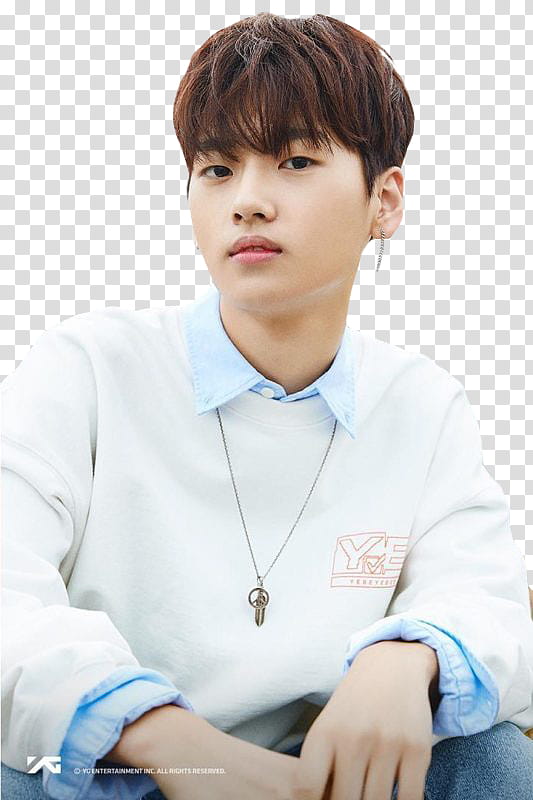 YG TREASURE BOX transparent background PNG clipart