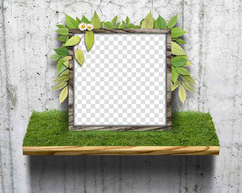 frame, Frame, Green, Rectangle, Wall, Leaf, Mirror, Shelf transparent background PNG clipart