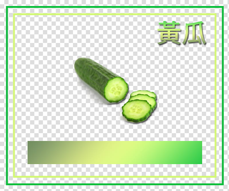 Green aesthetic, sliced zucchini transparent background PNG clipart