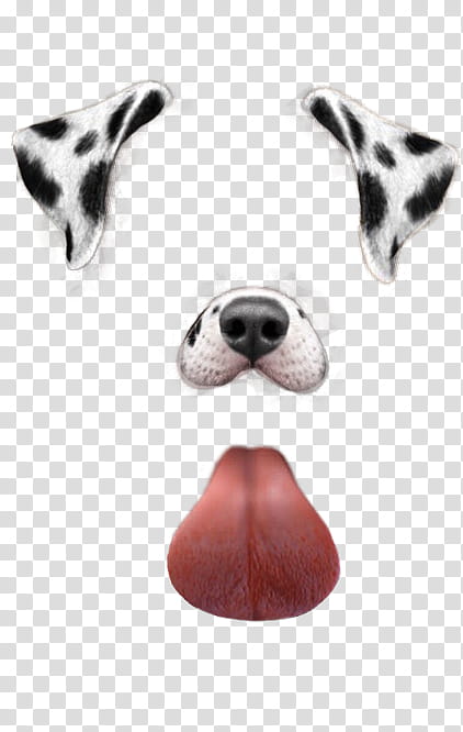 Snapchat Filters Part , black and gray dog snapchat transparent background PNG clipart