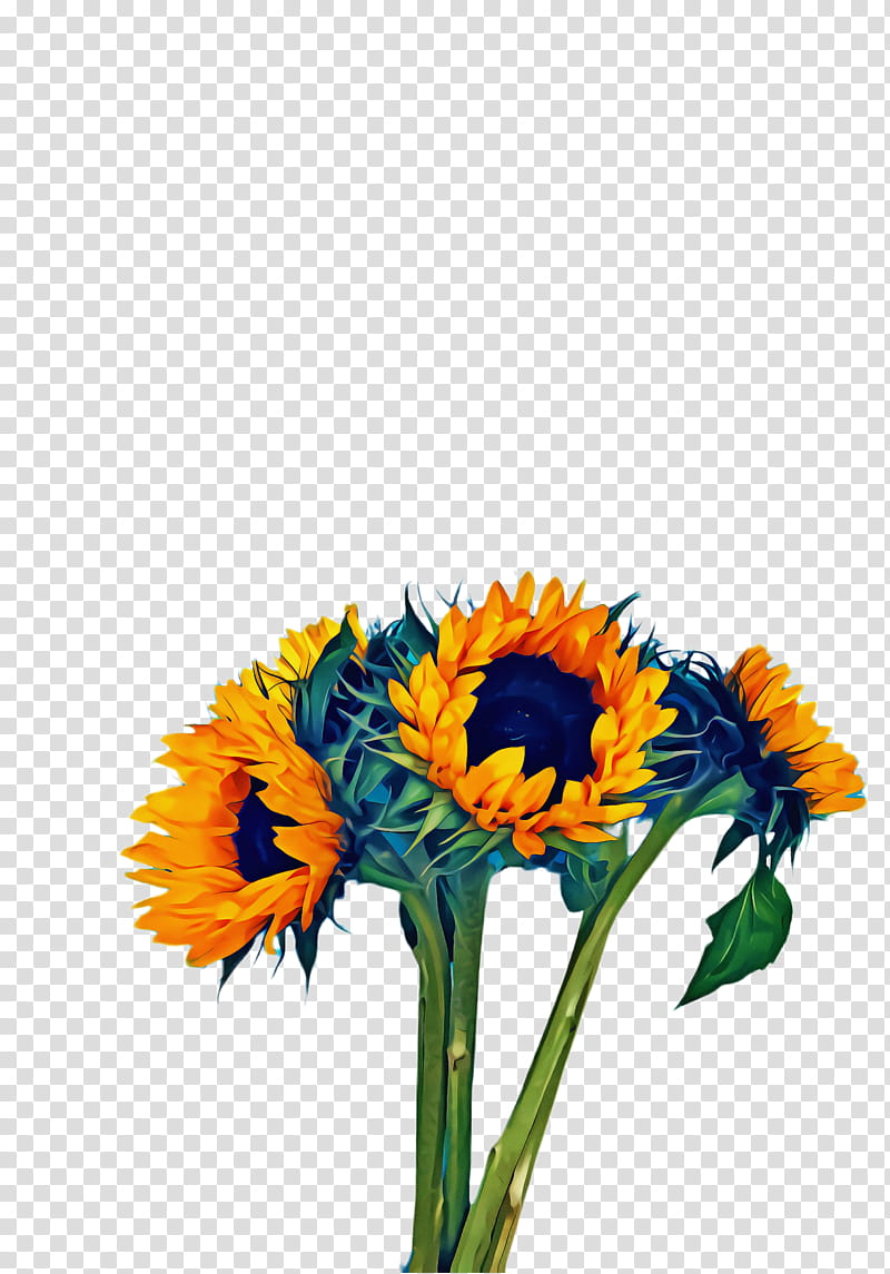 Watercolor Flower, Sunflower, Flora, Bloom, Common Sunflower, Sunflower ...