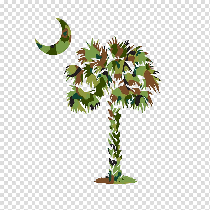 Coconut Tree, South Carolina, Sabal Palm, Flag Of South Carolina, Palm Trees, Decal, Sticker, Logo transparent background PNG clipart