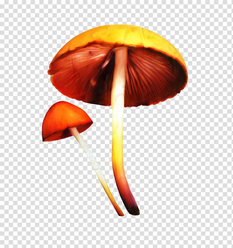 Mushroom Cloud, Mushroom Poisoning, Fungus, Food, Cartoon, Christmas Day, Poisonous Mushroom, Drawing transparent background PNG clipart