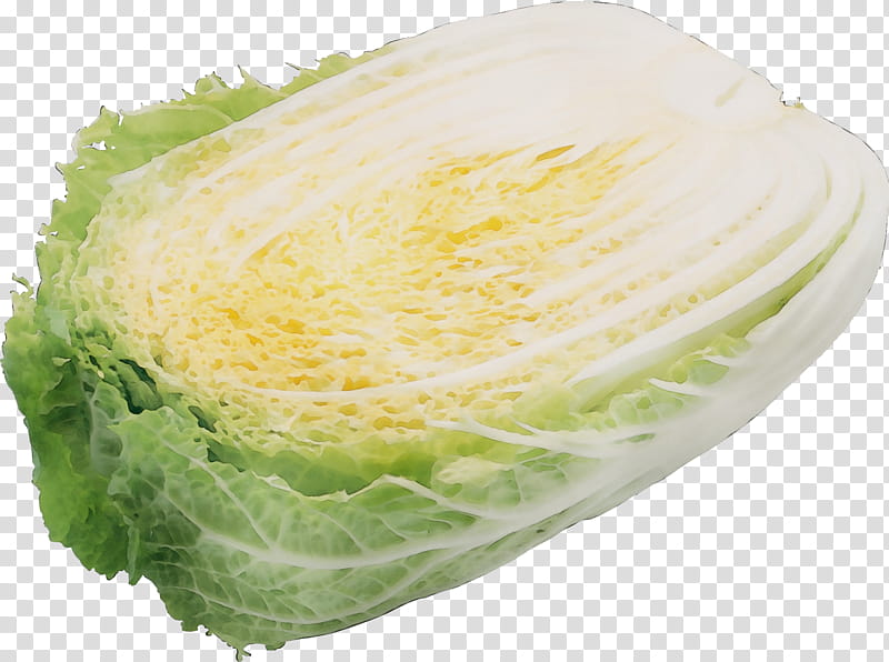 cabbage food iceburg lettuce lettuce savoy cabbage, Watercolor, Paint, Wet Ink, Vegetable, Wild Cabbage, Chinese Cabbage, Romaine Lettuce transparent background PNG clipart