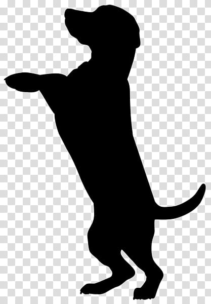 Dog And Cat, Dobermann, Silhouette, Labrador Retriever, Boxer, Chihuahua, Art, Pet transparent background PNG clipart