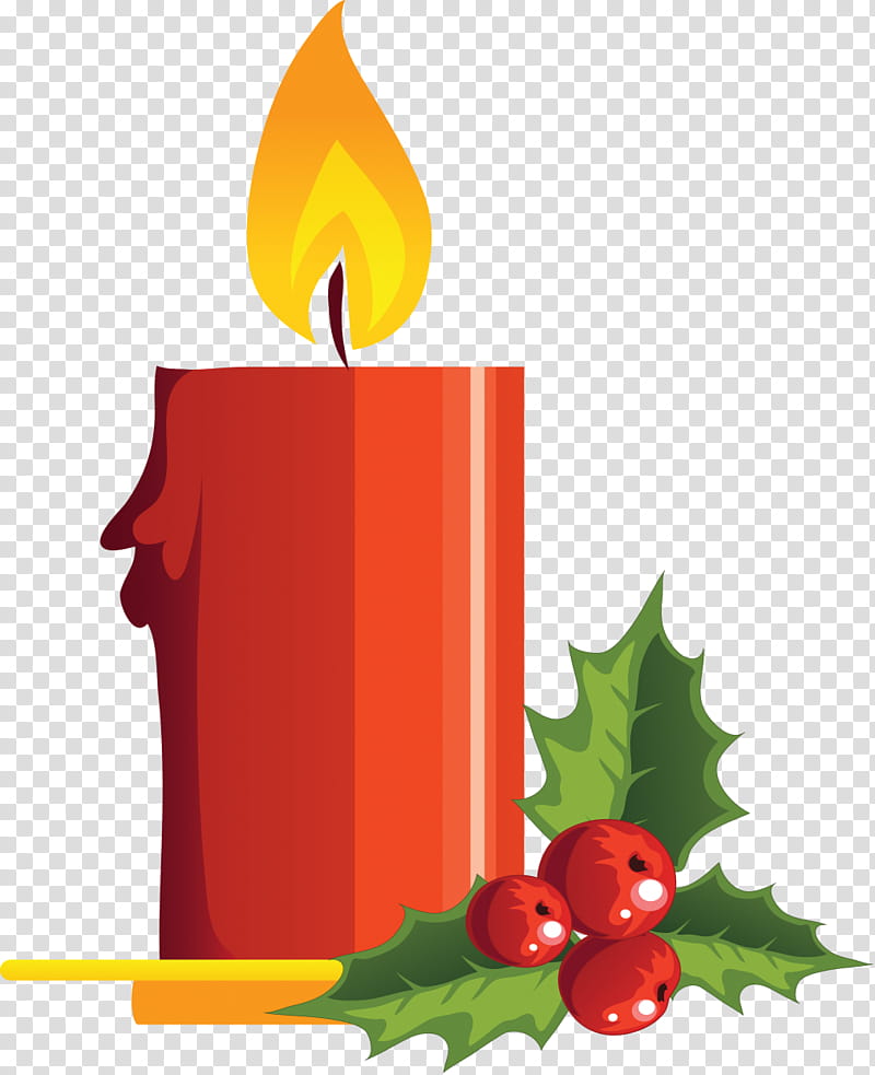 Birthday Drawing, Candle, Tree, Berries, Animation, Orange Sa, Leaf, Holly transparent background PNG clipart