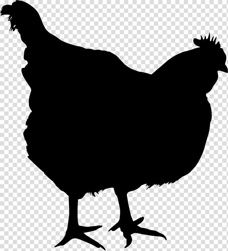 Egg, Chicken, Broiler, Breed, Meat, Poultry Farming, Bird, Chicken As Food transparent background PNG clipart