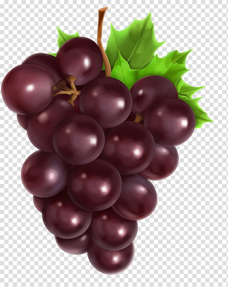 Drawing Of Family, Common Grape Vine, Fruit, Grapevines, Seedless Fruit, Grape Leaves, Grapevine Family, Food transparent background PNG clipart