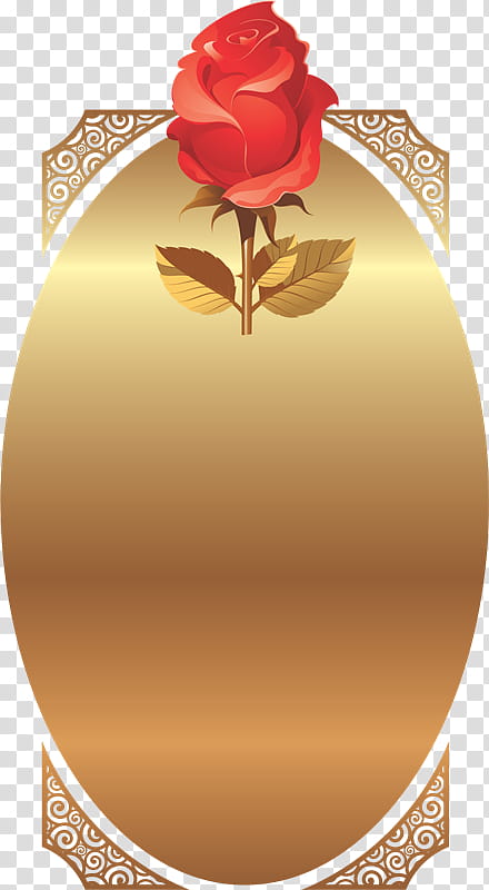 Love Rose Flower, Text, Frames, , Rose Family, Rose Order, Petal transparent background PNG clipart