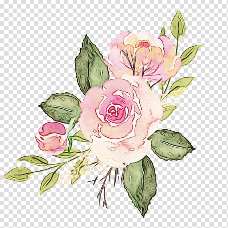 Watercolor Flower, Garden Roses, China Rich Girlfriend, Book, Goodreads, Author, Review, Kevin Kwan transparent background PNG clipart