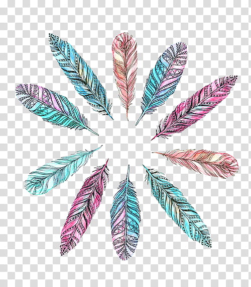 Feathers, blue feather illustration transparent background PNG clipart