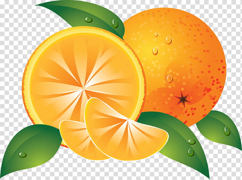 Lemon Slice, Orange Juice, Grapefruit Juice, Mandarin Orange, Tangerine, Lime, Orange Slice, Citrus transparent background PNG clipart