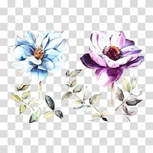 Watercolor Flower, Petal, Floral Design, Cut Flowers, Still Life Photography, Plants, Watercolor Paint, Magnolia transparent background PNG clipart thumbnail