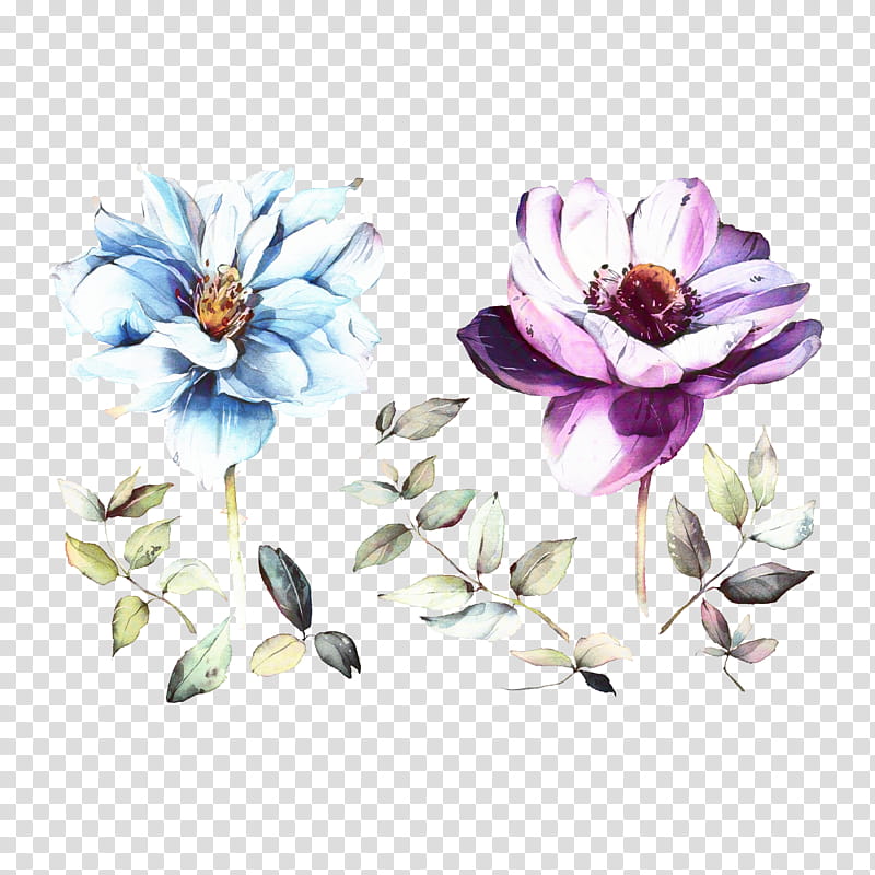 Watercolor Flower, Petal, Floral Design, Cut Flowers, Still Life , Plants, Watercolor Paint, Magnolia transparent background PNG clipart