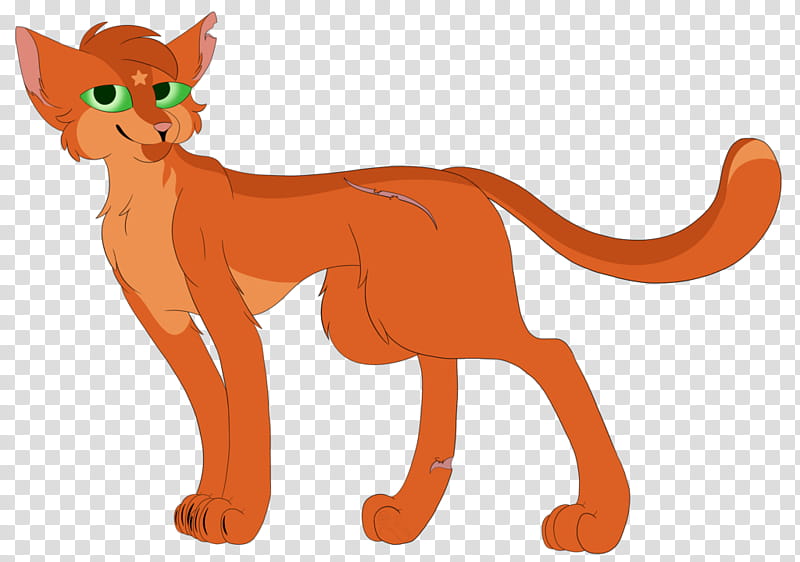 Lion, Whiskers, Cat, RED Fox, Macropods, Paw, Character, Orange Sa transparent background PNG clipart