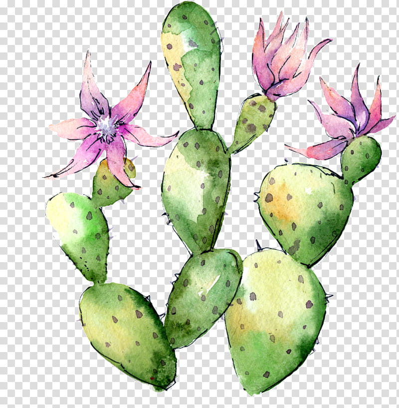 Watercolor Flower, , Watercolor Painting, Cactus, Art, Work Of Art, Succulent Plant, Poster transparent background PNG clipart