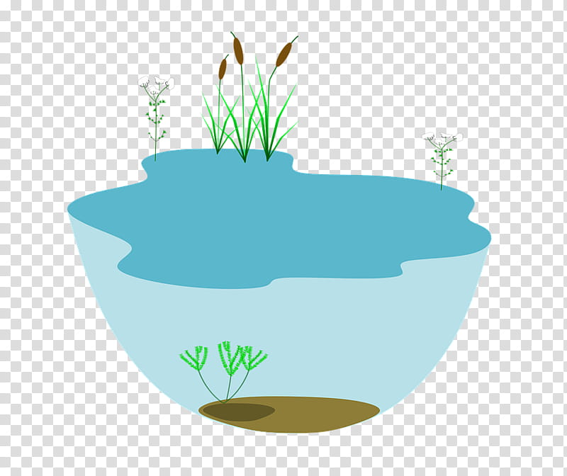 Cartoon Nature, Ecology, Ecosystem, Asiatic Cholera, Natural Environment, Biology, Lake Ecosystem, Aquatic Ecosystem transparent background PNG clipart