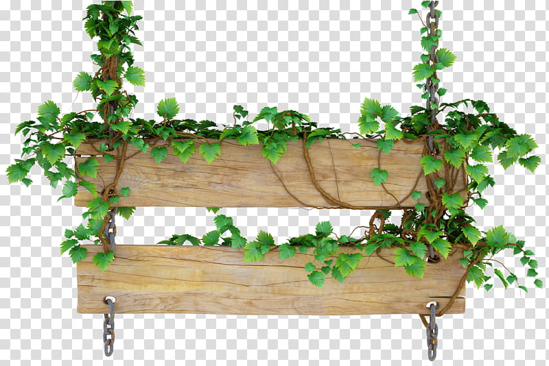 Lians witn wood sign, green leafed plant on wooden rack transparent background PNG clipart