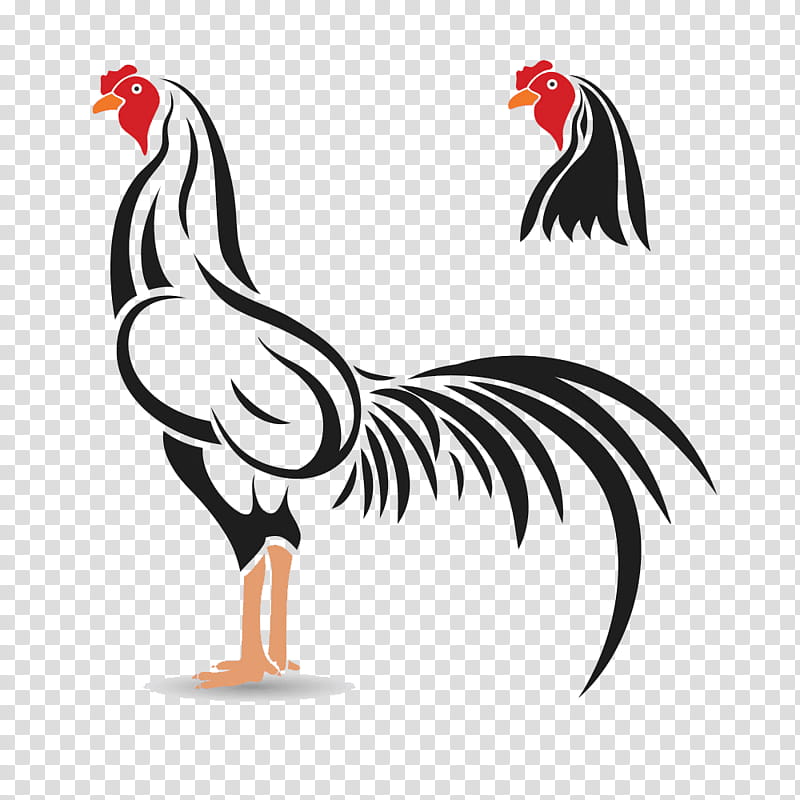 Bird Drawing, Cockfight, Royaltyfree, Rooster, , Silhouette, Big, Chicken transparent background PNG clipart
