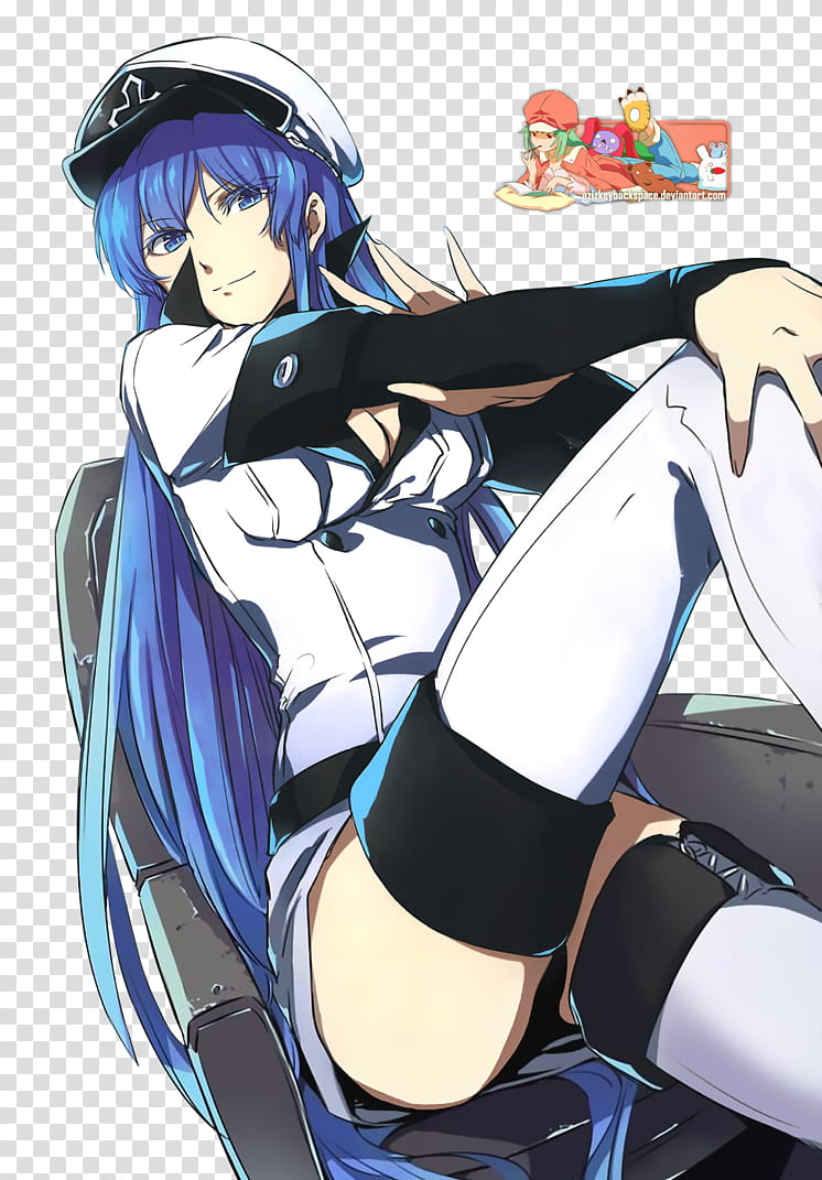 Esdeath (Akame ga Kill!), Render, female characters with blue long hair transparent background PNG clipart