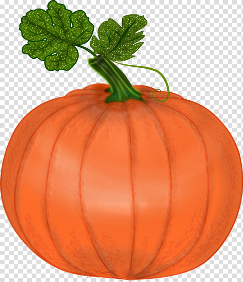 Pumpkin, orange pumpkin art transparent background PNG clipart