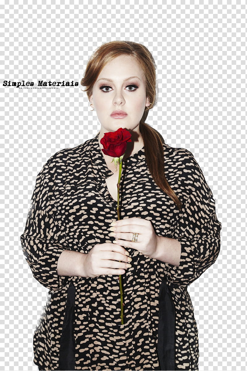 Adele transparent background PNG clipart