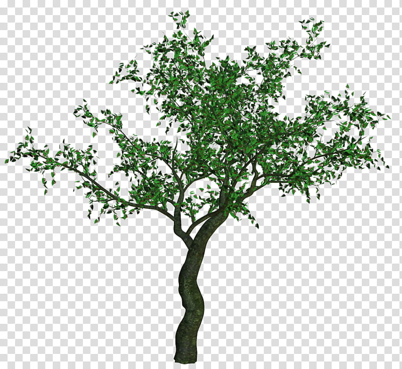 Various Flowers , green-leafed tree transparent background PNG clipart