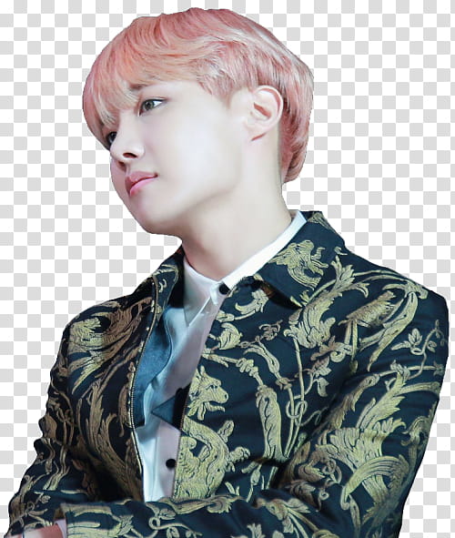 BTS V, Jhope, Kpop, Blood Sweat Tears, Wings, Jungkook, Suga, Jimin transparent background PNG clipart