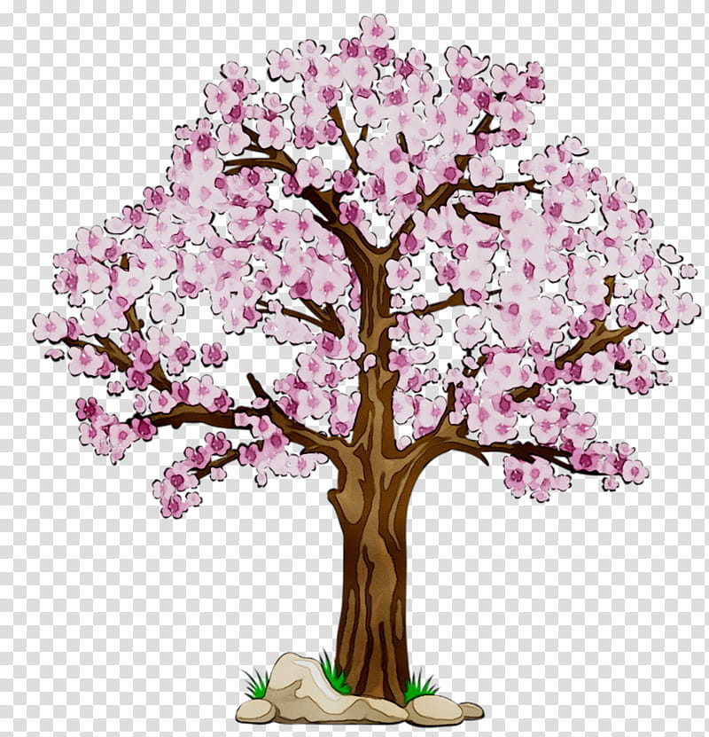 Family Tree, Cherry Blossom, Stau150 Minvuncnr Ad, Spring
, Hotel, Pixel Density, Printmaking, Flower transparent background PNG clipart