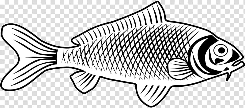 Fishing, Line Art, Drawing, Coloring Book, Fish Products, Carp, Rayfinned  Fish, Bonyfish transparent background PNG clipart