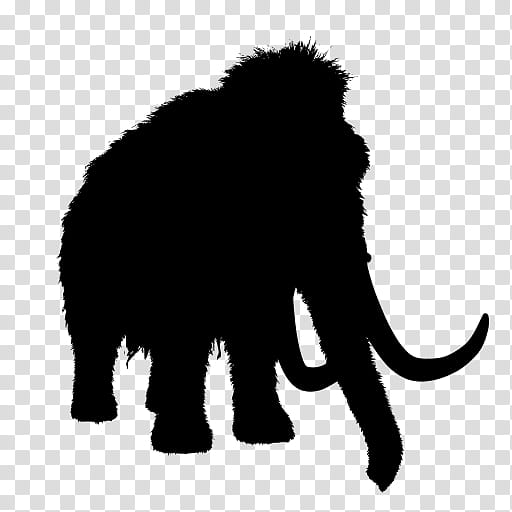 Elephant, Mammuthus Primigenius, Silhouette, Animal Figure, Indian Elephant, Wildlife, Tail transparent background PNG clipart