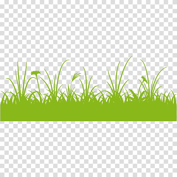 Family Tree Silhouette, Grass, Psp Tubes, Text, 2018, Plant, Green, Grass Family transparent background PNG clipart