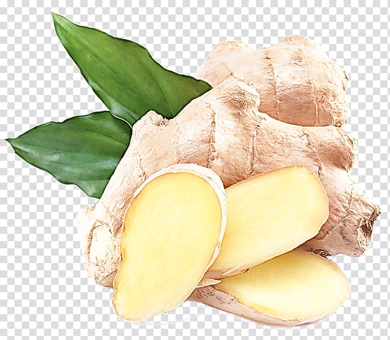 ginger food ingredient vegetable zingiber, Tuber, Root Vegetable, Plant, Greater Galangal, Yuca, Zedoary transparent background PNG clipart