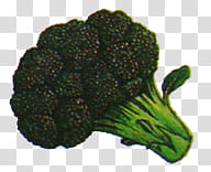 Vegetables and Fruit , green broccoli illustration transparent background PNG clipart