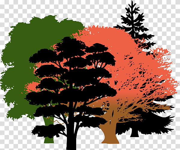 Arbor day, Tree, Leaf, Woody Plant, Vegetation, Natural Landscape, Deciduous transparent background PNG clipart