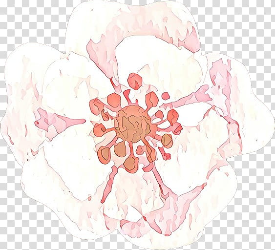 pink flower plant petal peach, Cartoon, Blossom transparent background PNG clipart