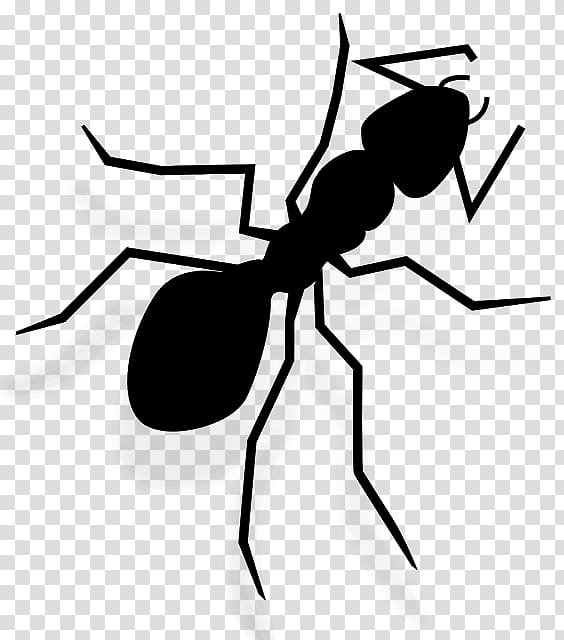 Ant, Insect, Diagram, Drawing, Termite, Hexapoda, Carpenter Ant, Pest transparent background PNG clipart