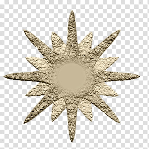 Gold Star, Punto Cereza Cafeteria, Leaf, Plant, Brooch, Metal, Symmetry, Ornament transparent background PNG clipart