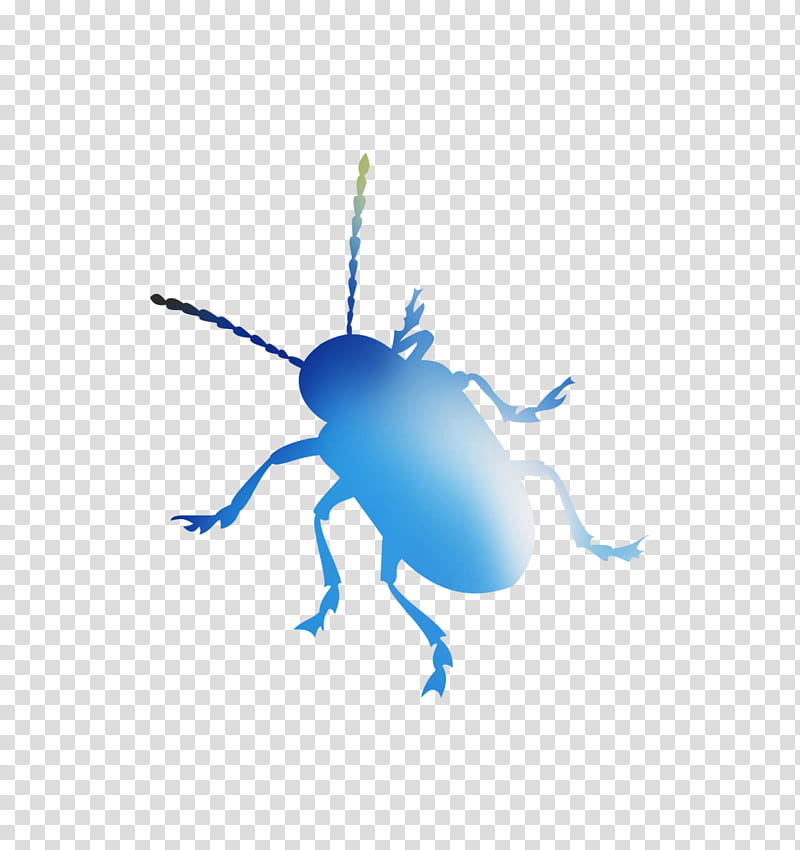 Leaf, Weevil, Beetle, Computer, Pollinator, Microsoft Azure, Membrane, Insect transparent background PNG clipart