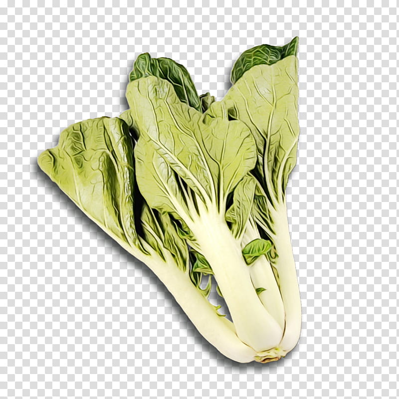 Spring Flower, Romaine Lettuce, Chard, Vegetable, Spinach, Bargli Sabzavotlar, Collard, Greens transparent background PNG clipart