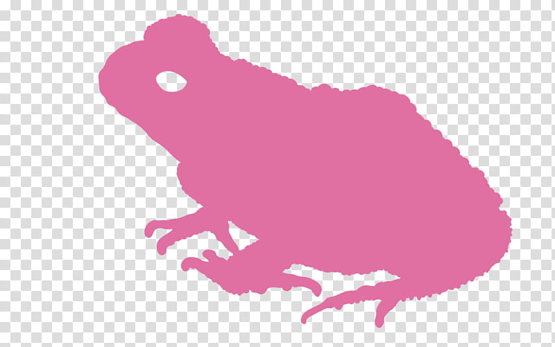 Frog, Silhouette, Beak, Pink M, Purple, Violet, Magenta transparent background PNG clipart