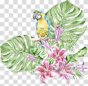 Watercolor Flower, Sticker, Macaw, Phonograph Record, Wall, Wall Decal, Watercolor Painting, Decorative Arts transparent background PNG clipart thumbnail