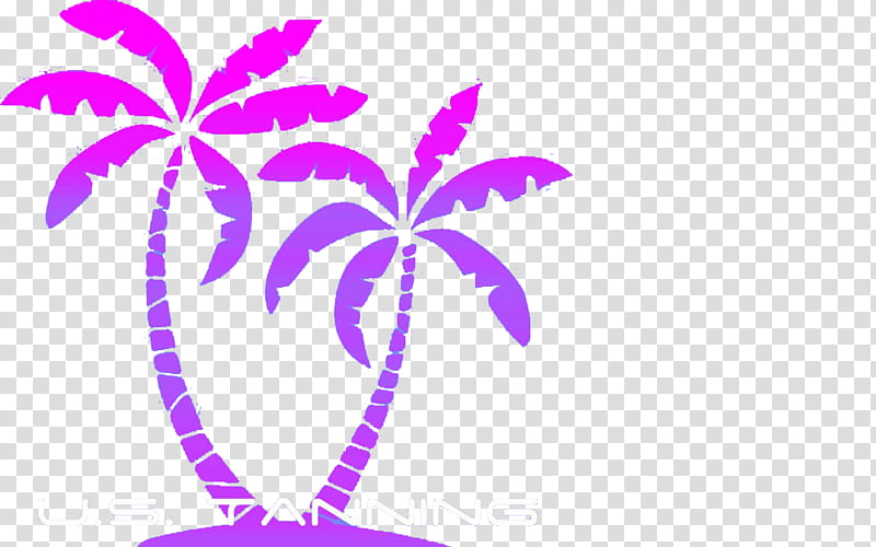 Palm Tree Drawing, Palm Trees, Silhouette, Line Art, Leaf, Violet, Purple, Pink transparent background PNG clipart