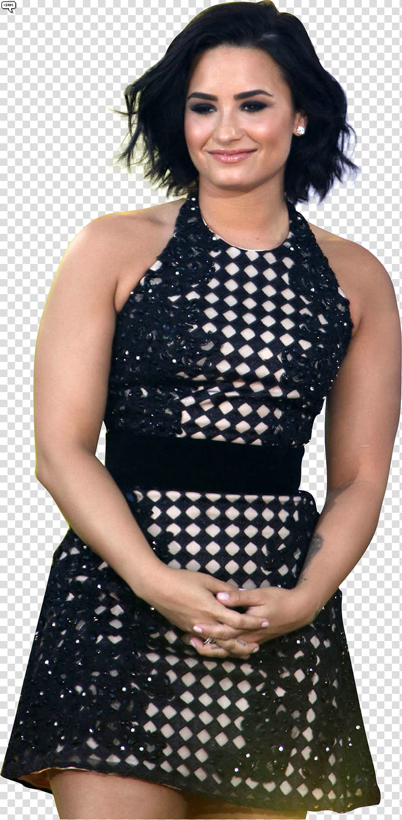 DEMI LOVARO,,SAM () icon transparent background PNG clipart